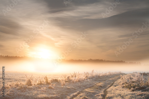 Frosty Sunrise. Landscape photo.
