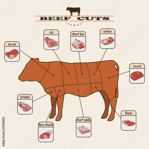 beef cuts