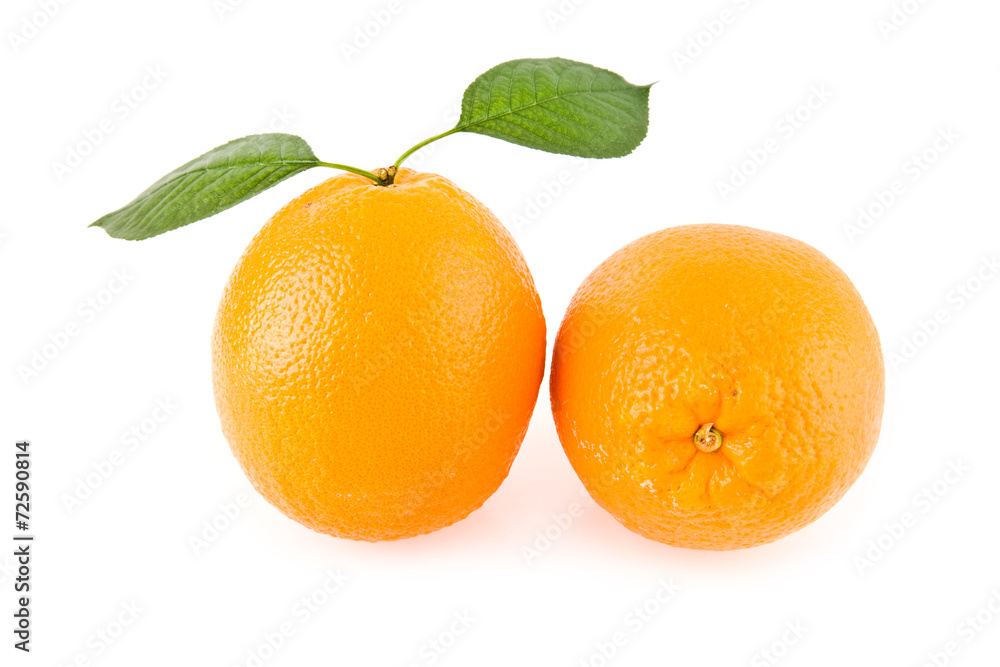 oranges oranges