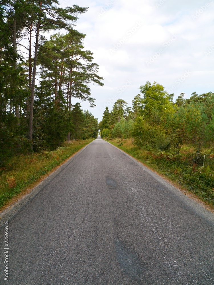 A road in perspective on the Island Gotland in Sweden A road in perspective on the Island Gotland in Sweden