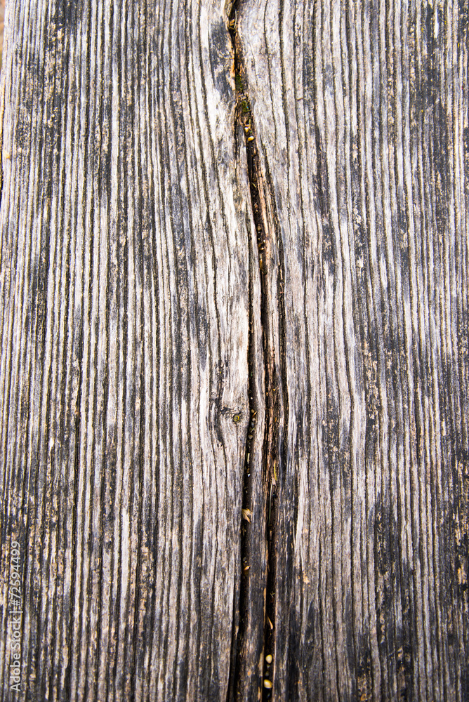 Fototapeta premium wood texture
