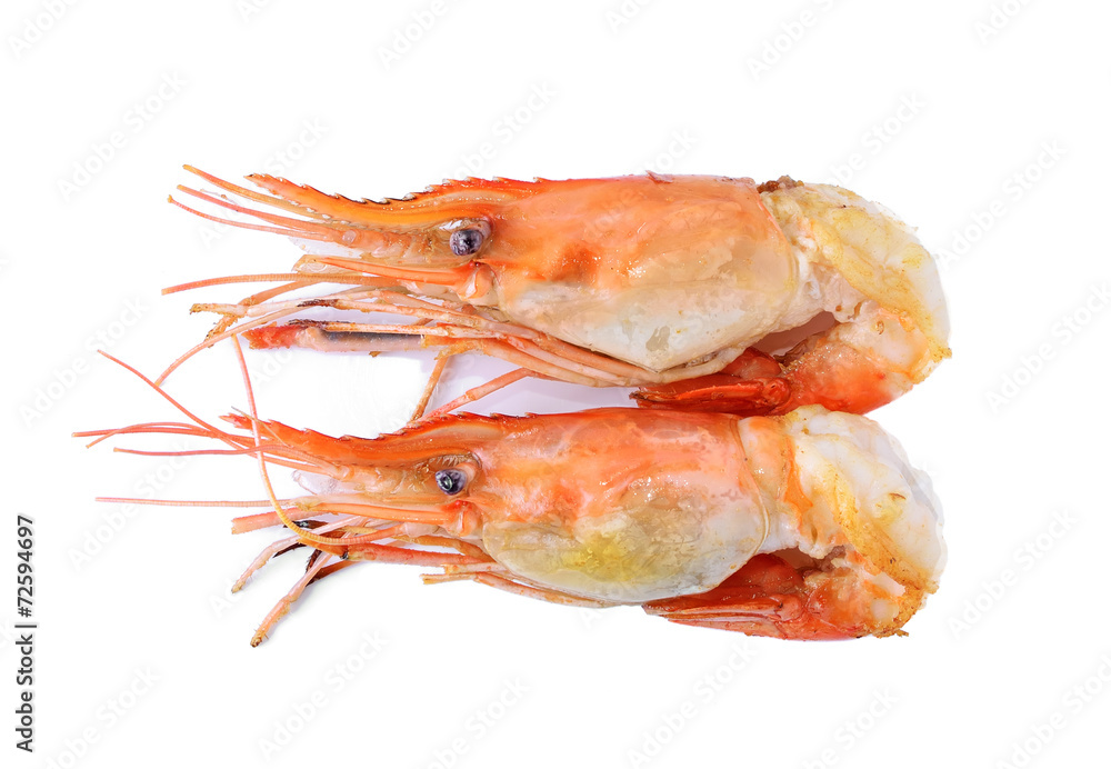shrimps on a white background shrimps on a white background