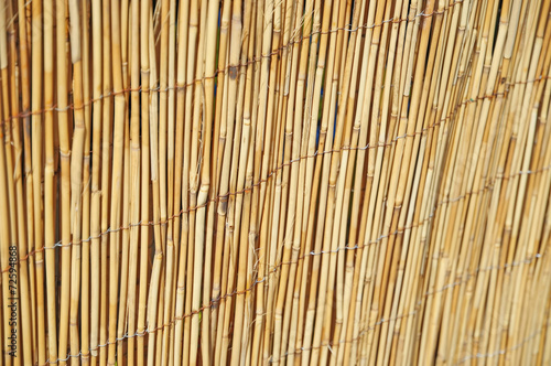 Shallow DOF image of cane fence in village