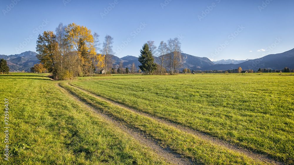 Fototapeta premium autumn scenery