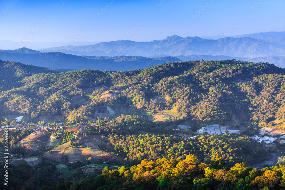 Tropical forest and mountain ranges