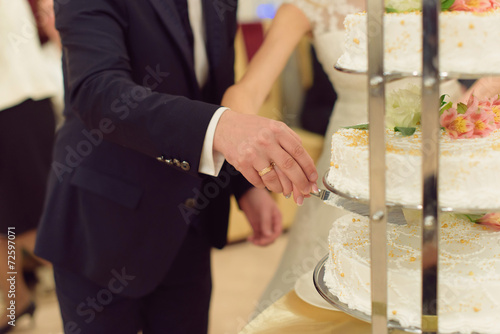 Groom and Bride Cutting Cake