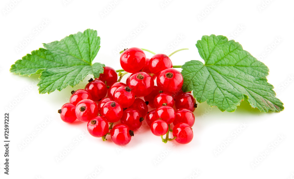 currant currant
