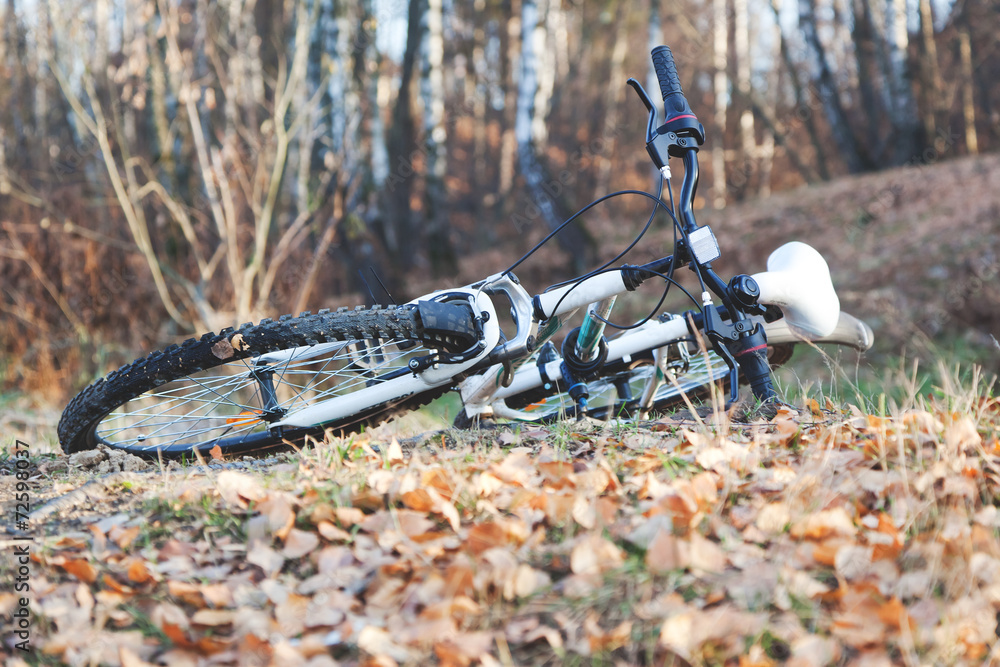 Obraz premium bicycle lying on the ground, on a background of autumn forest