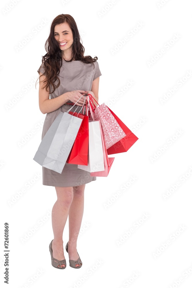 Elegant and smiling brunette with shopping bags Elegant and smiling brunette with shopping bags