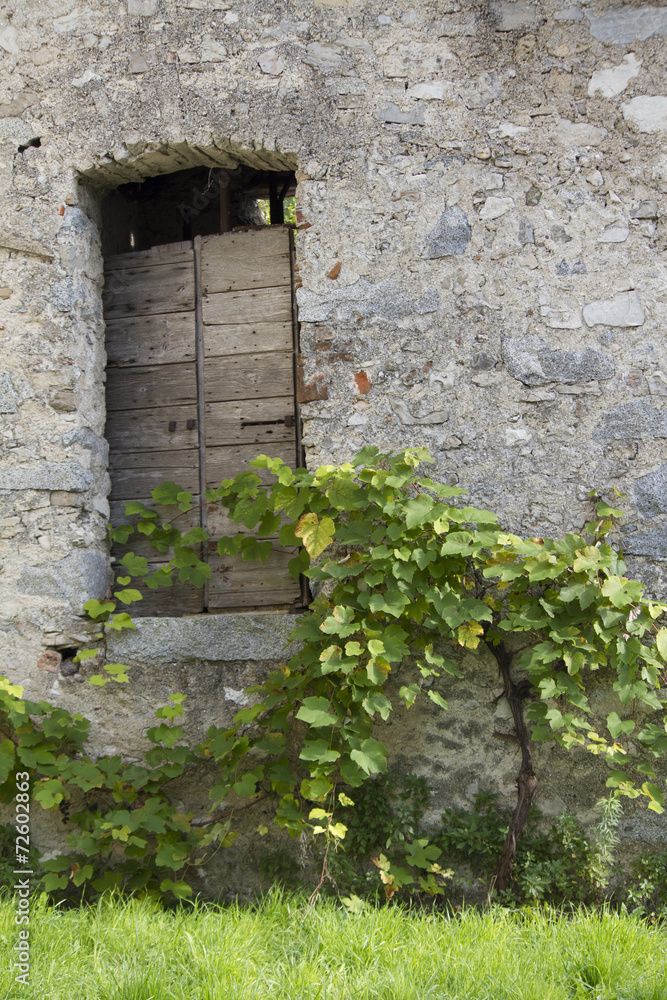 Fototapeta premium old door