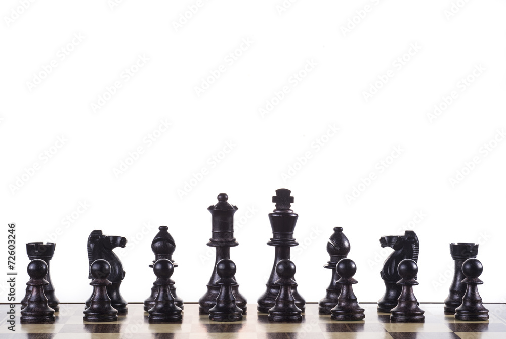 chess titans chess titans