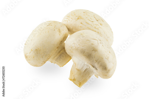 Three mushroom on white background