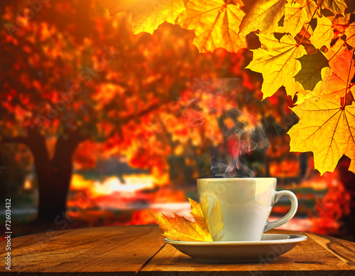 cup coffee and autumn forest