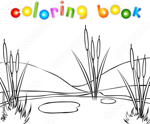 Swamp coloring book