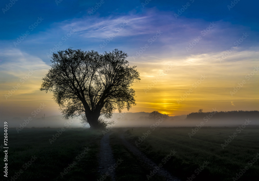 Fototapeta premium austrian foggy sunrise