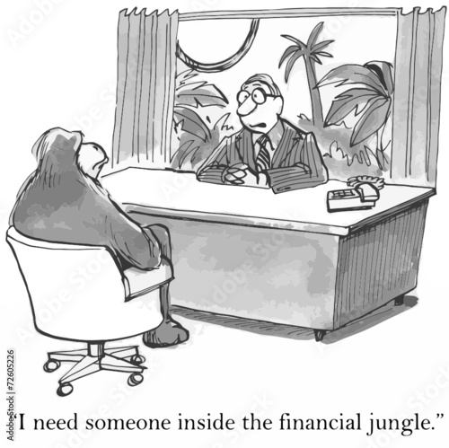 "I need someone inside the financial jungle."