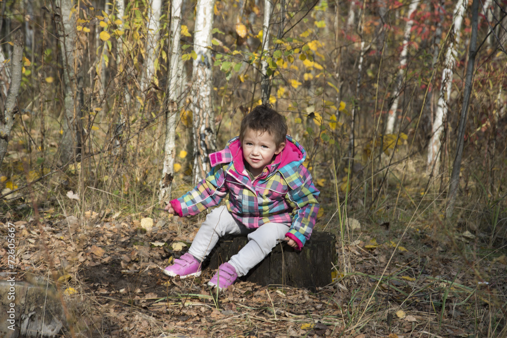 Little smiling girl sitting on a tree stump in autumn forest. Little smiling girl sitting on a tree stump in autumn forest.