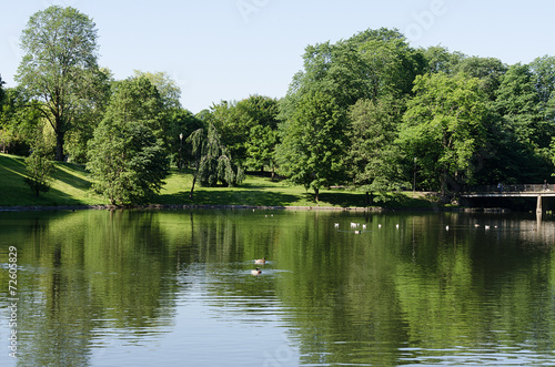 Summer pond at Norway