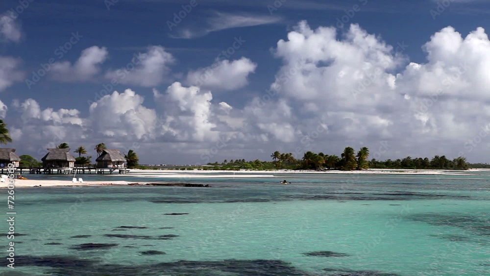island with palm trees and houses on water in ocean island with palm trees and houses on water in ocean