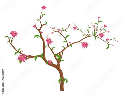 Festival Flowers Branches