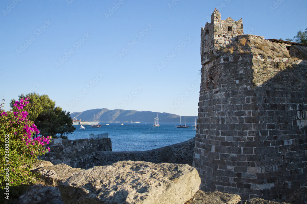 fortress, the sea in ships, mountains and flowers