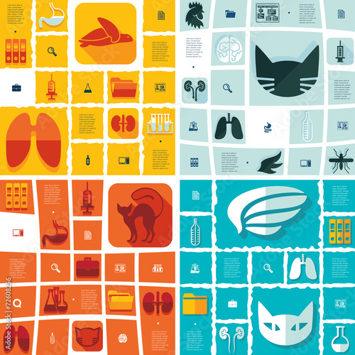 veterinary flat infographic