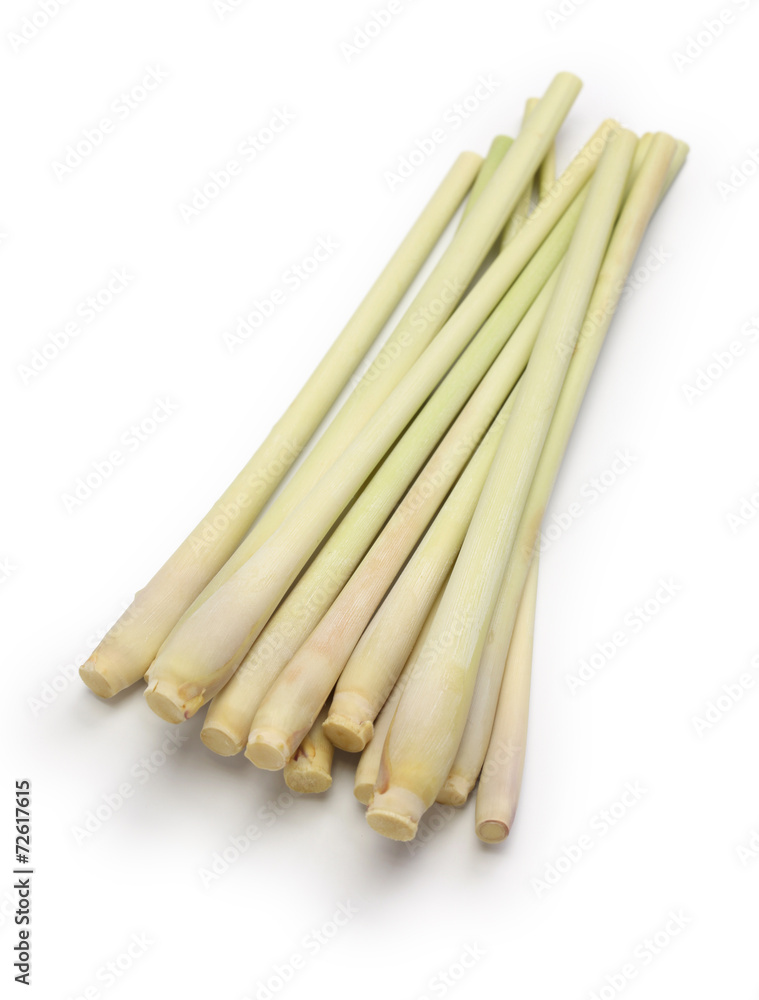 lemongrass isolated on white background lemongrass isolated on white background