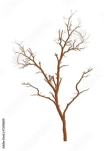 Dead Tree Design