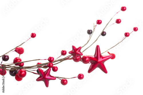 branch of christmas stars and berries
