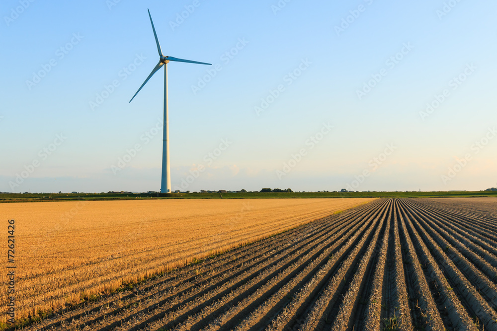 Windmill at farmer fields
