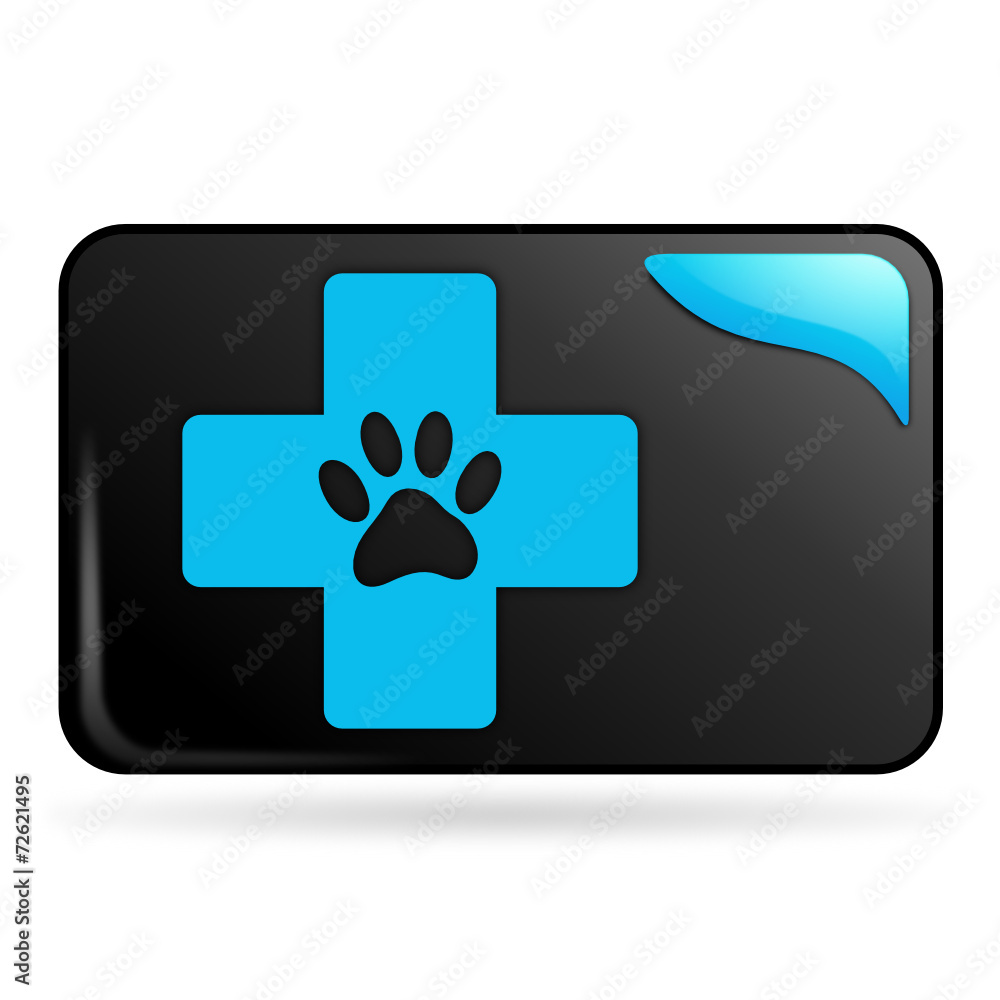 clinique vétérinaire sur bouton web rectangle bleu