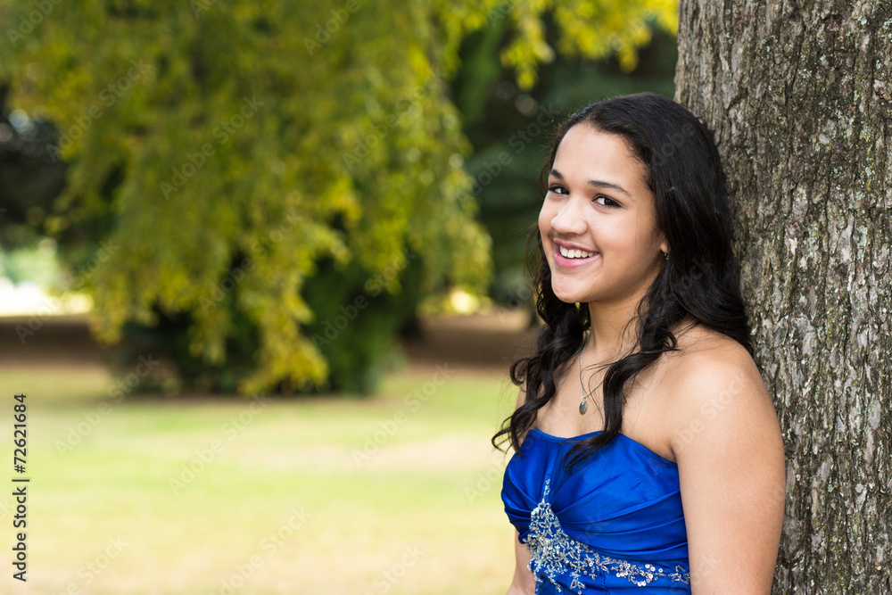 Quinceanera Dress Quinceanera Dress