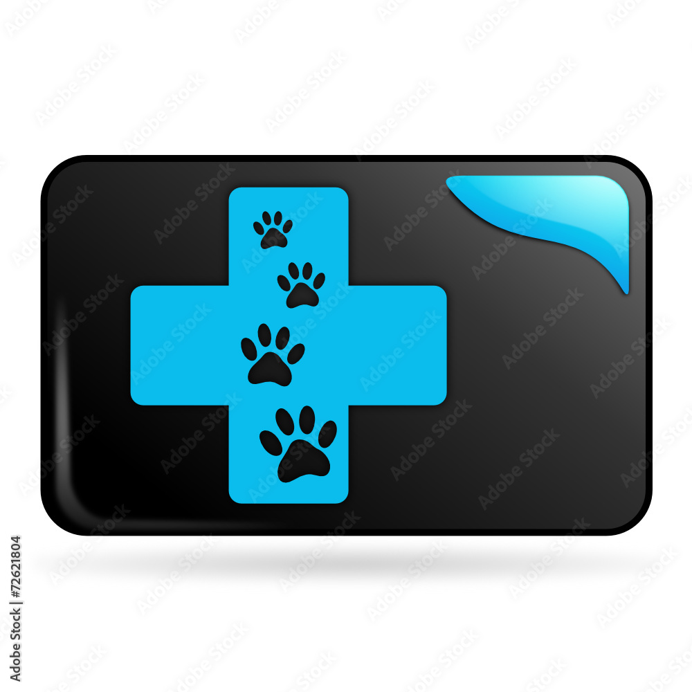 soins vétérinaire sur bouton web rectangle bleu soins vétérinaire sur bouton web rectangle bleu