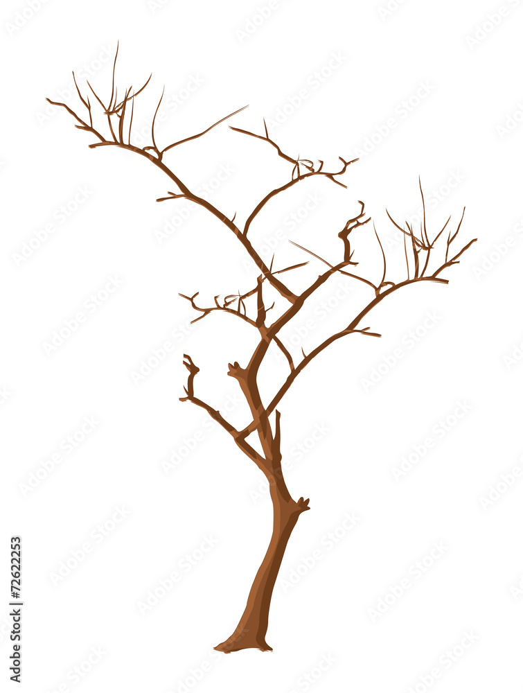 Abstract Dead Tree Stem Abstract Dead Tree Stem