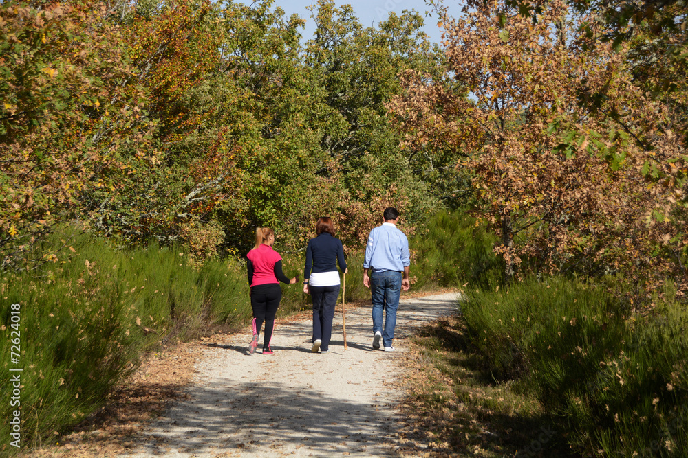 Fototapeta premium familia caminando por el bosque