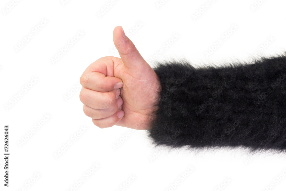 offene Hand als Freisteller StockFoto Adobe Stock