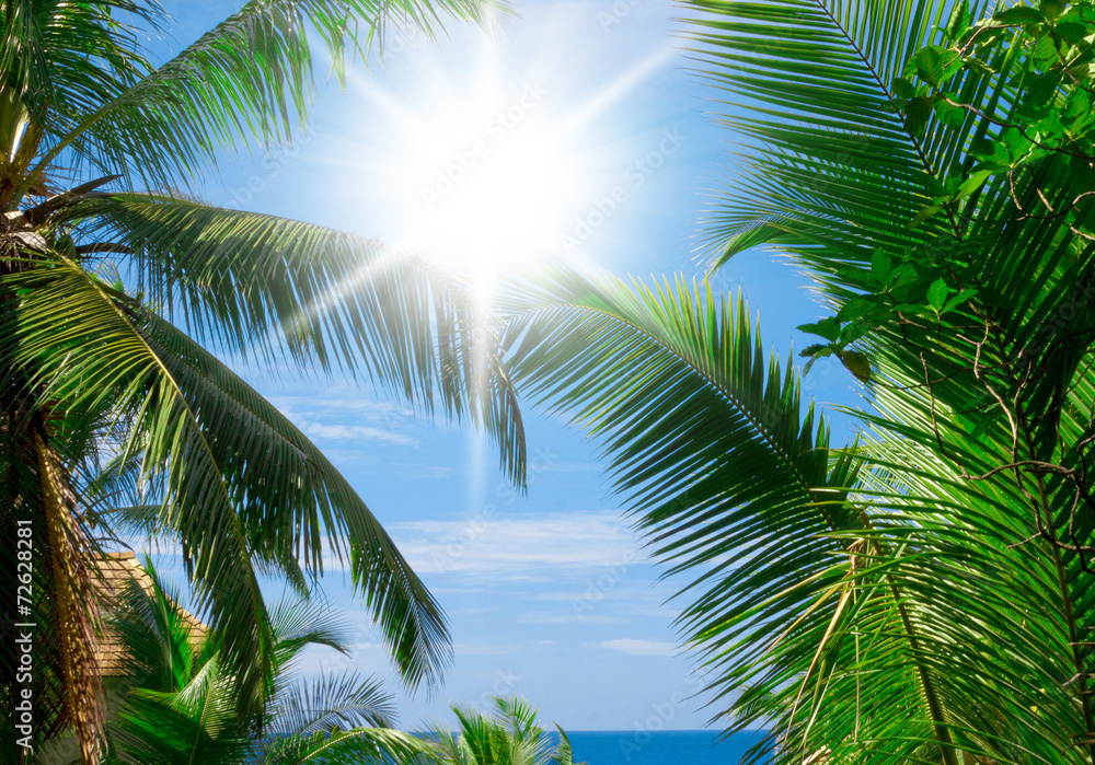 Obraz premium Sunshine View Under Sun