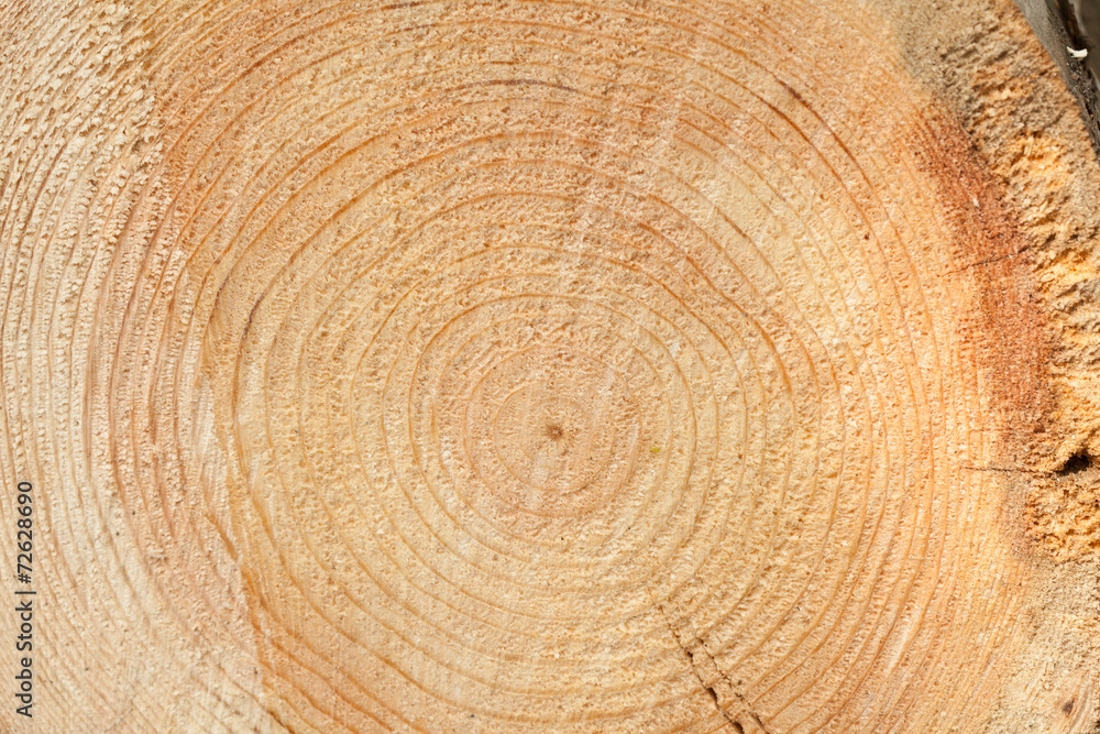 Naklejka premium Woodgrain