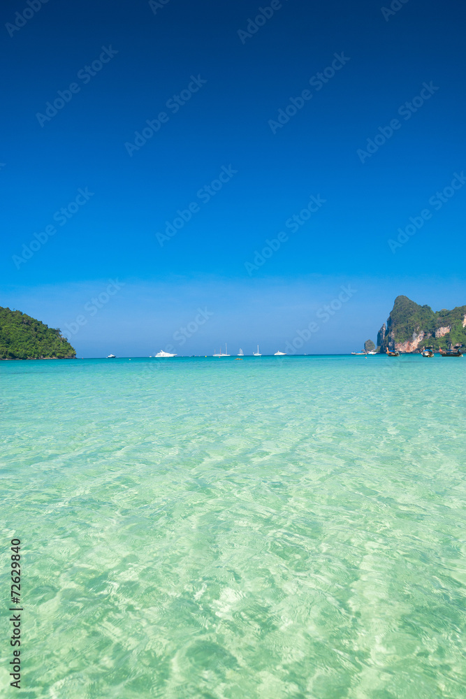 Fototapeta premium Natural Luxury Wallpaper View