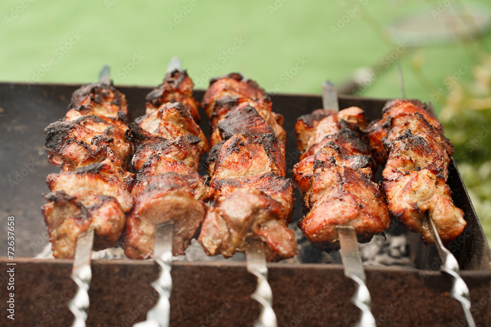 Appetizing fresh meat shish kebab (shashlik)