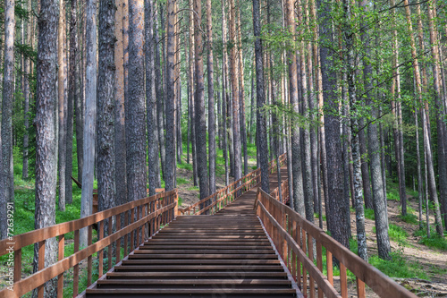 Wooden stairs in landscape park Stolby, near Krasnoyarsk, Russia