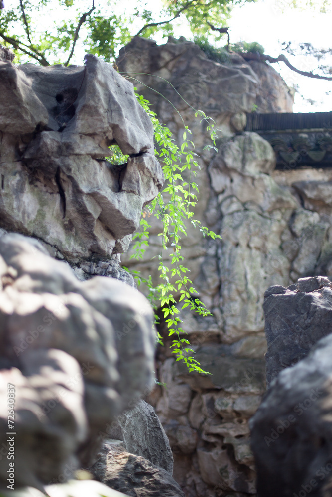 Obraz premium yu garten shanghai