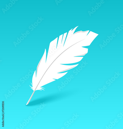 White feather isolated on blue background