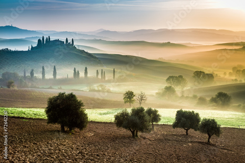 Gold and green fields in th...