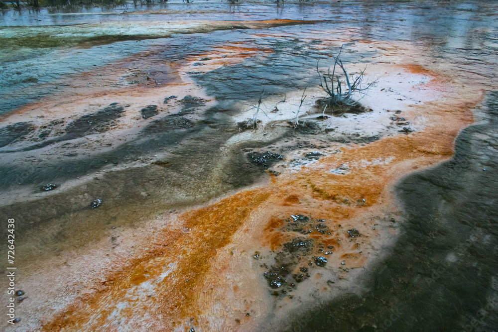Shallow water at an edge of a geyser crater Shallow water at an edge of a geyser crater