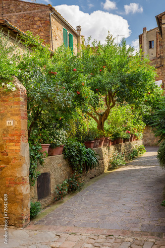 Beautiful park in the vintage town in Tuscany  Pienza