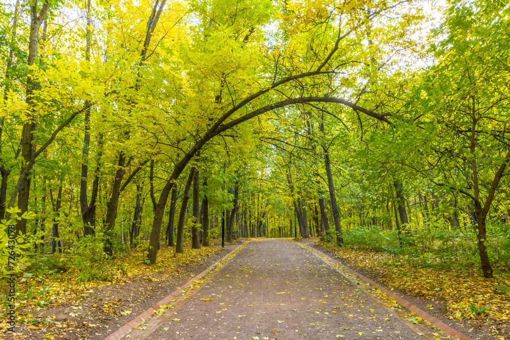 Pathway in the autumn park Pathway in the autumn park