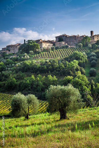 View of a small town with vineyards and olive trees