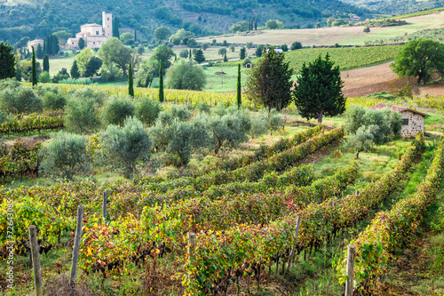 Fototapeta Naklejka Na Ścianę i Meble -  Beautiful view over the vineyards in Tuscany