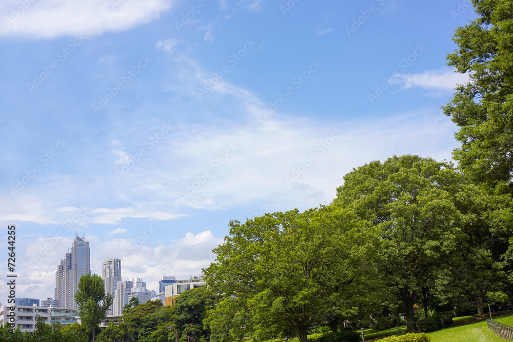 Fototapeta premium 代々木公園から望む 東京都庁と新宿高層ビル街